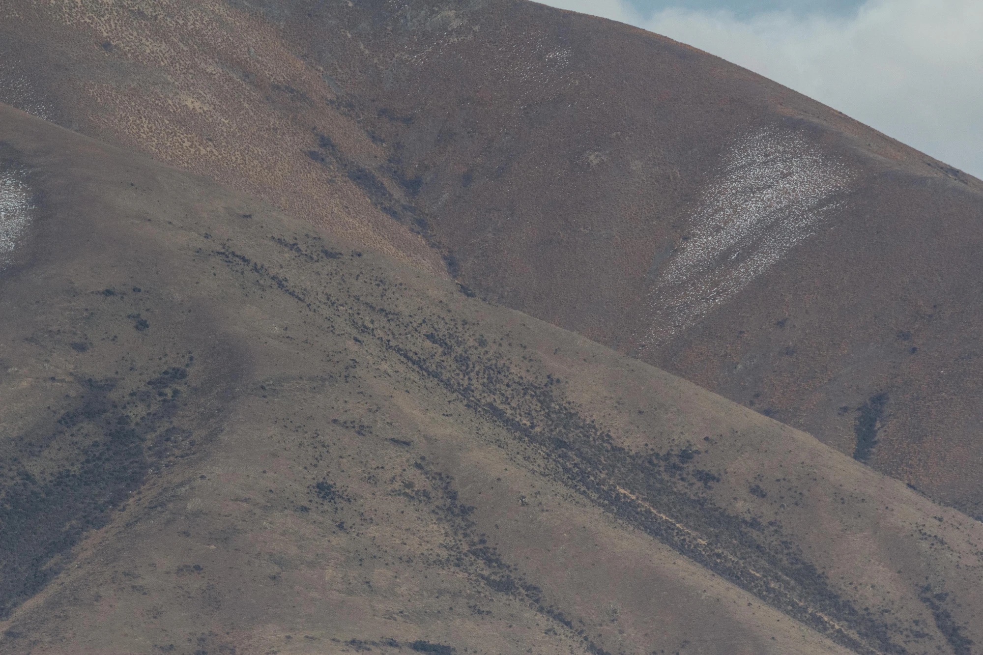 bald brown hills 061 — Скачать