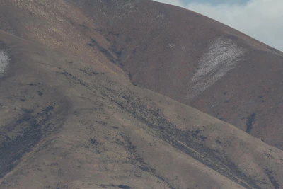 bald brown hills 061 — Скачать