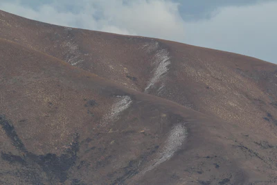 bald brown hills 062 — Descargar