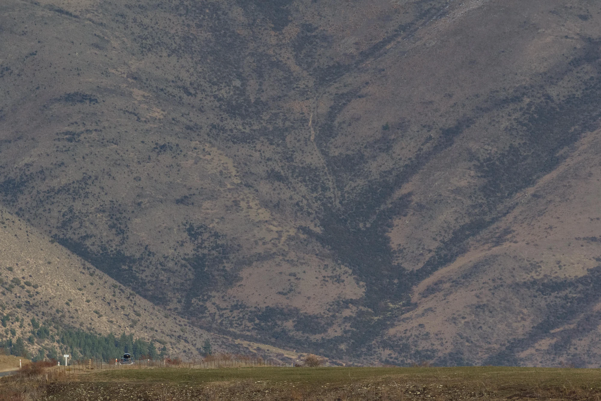 bald brown hills 063 — Скачать