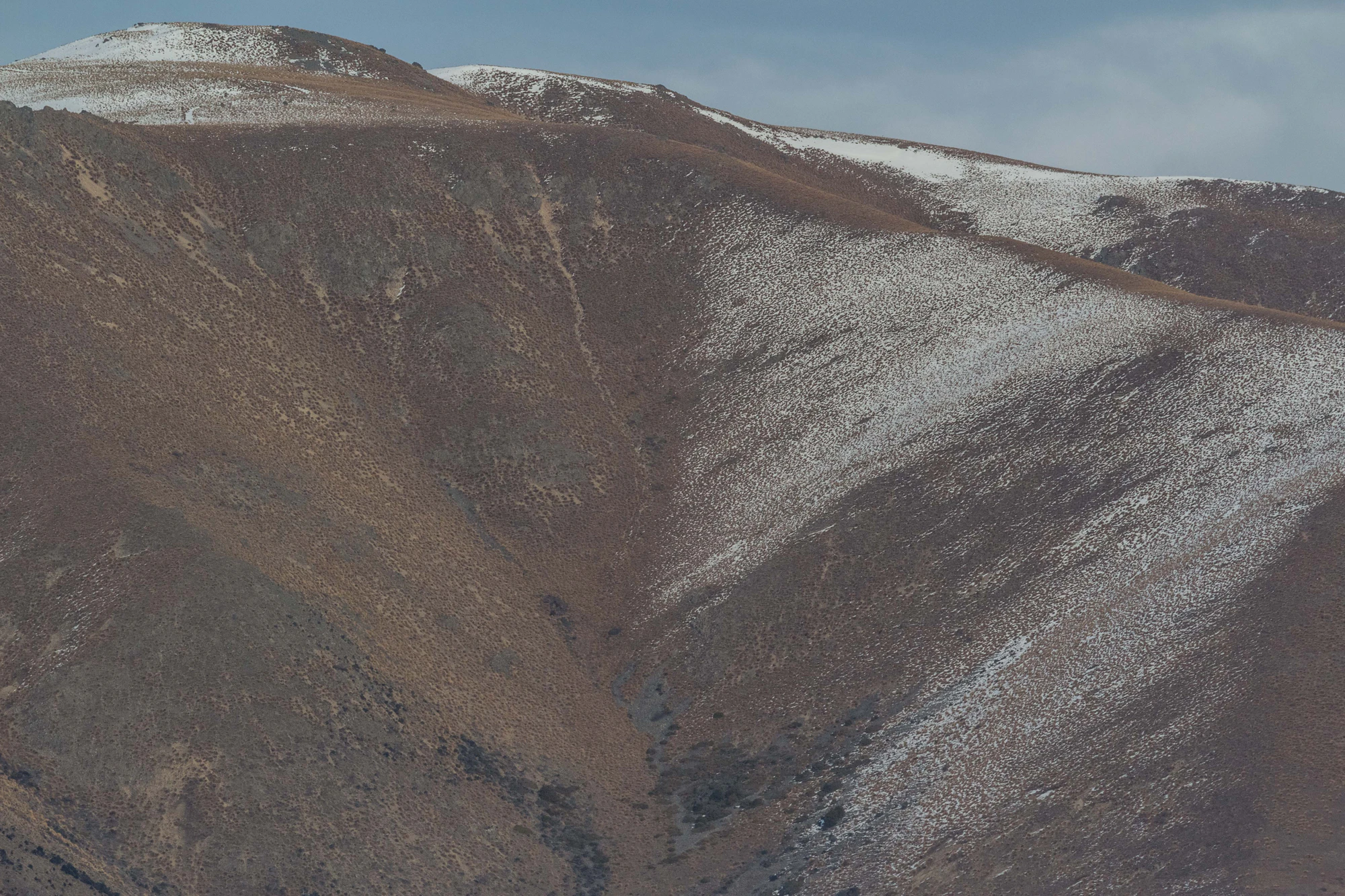 bald brown hills 064 — Descargar