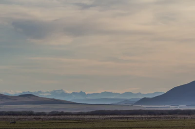 bald brown hills 068 — Download