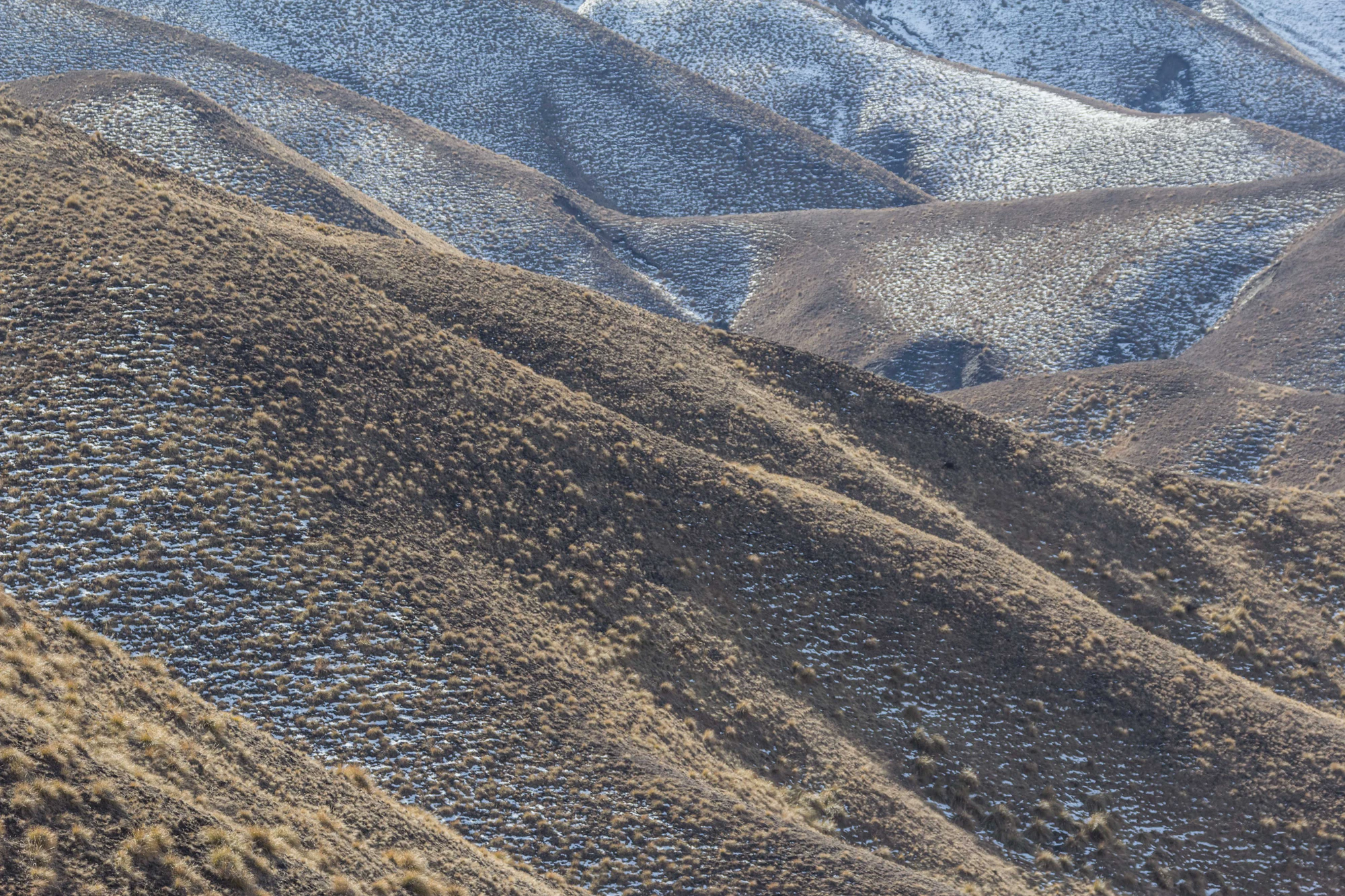 bald brown hills 075 — Скачать