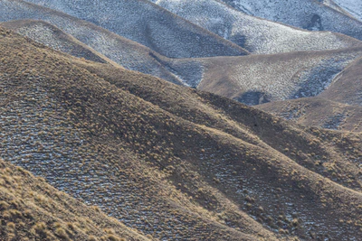 bald brown hills 075 — Скачать
