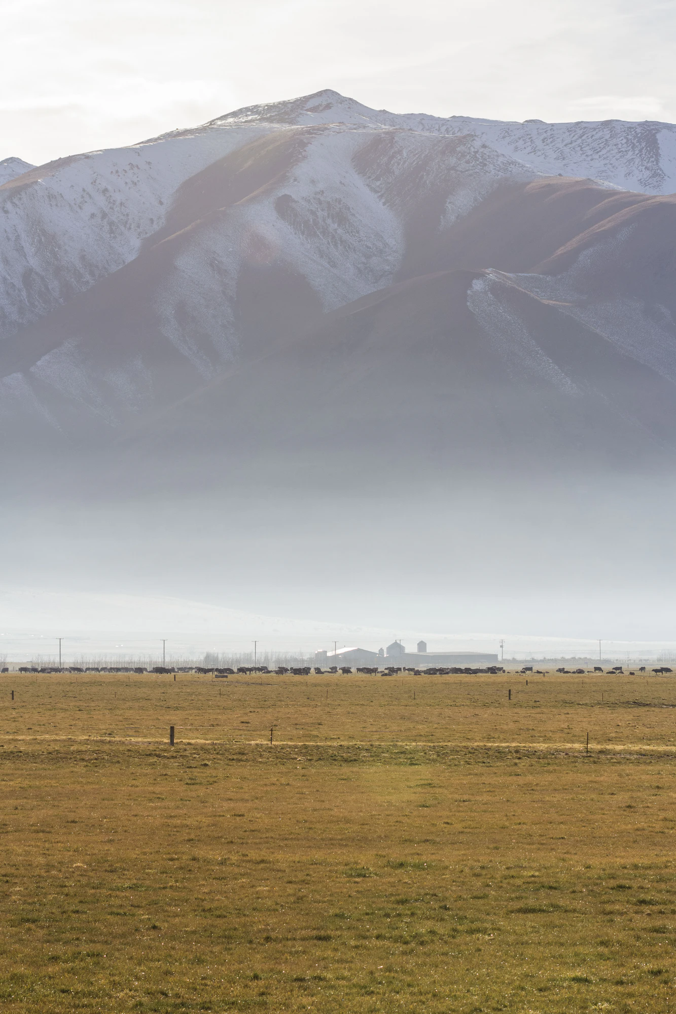 bald brown hills 080 — Descargar