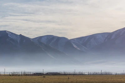 bald brown hills 082 — Скачать