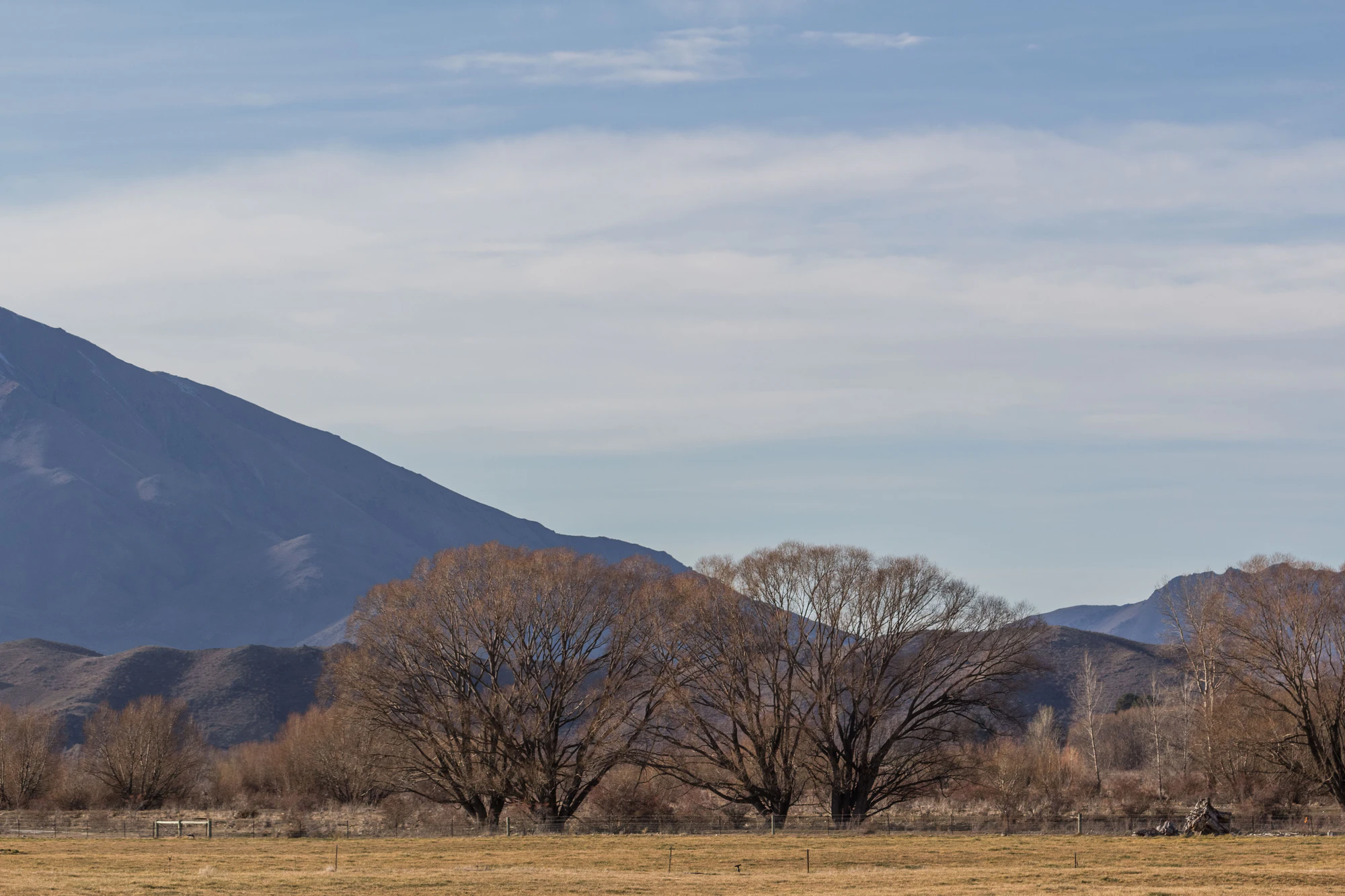 bald brown hills 084 — Descargar