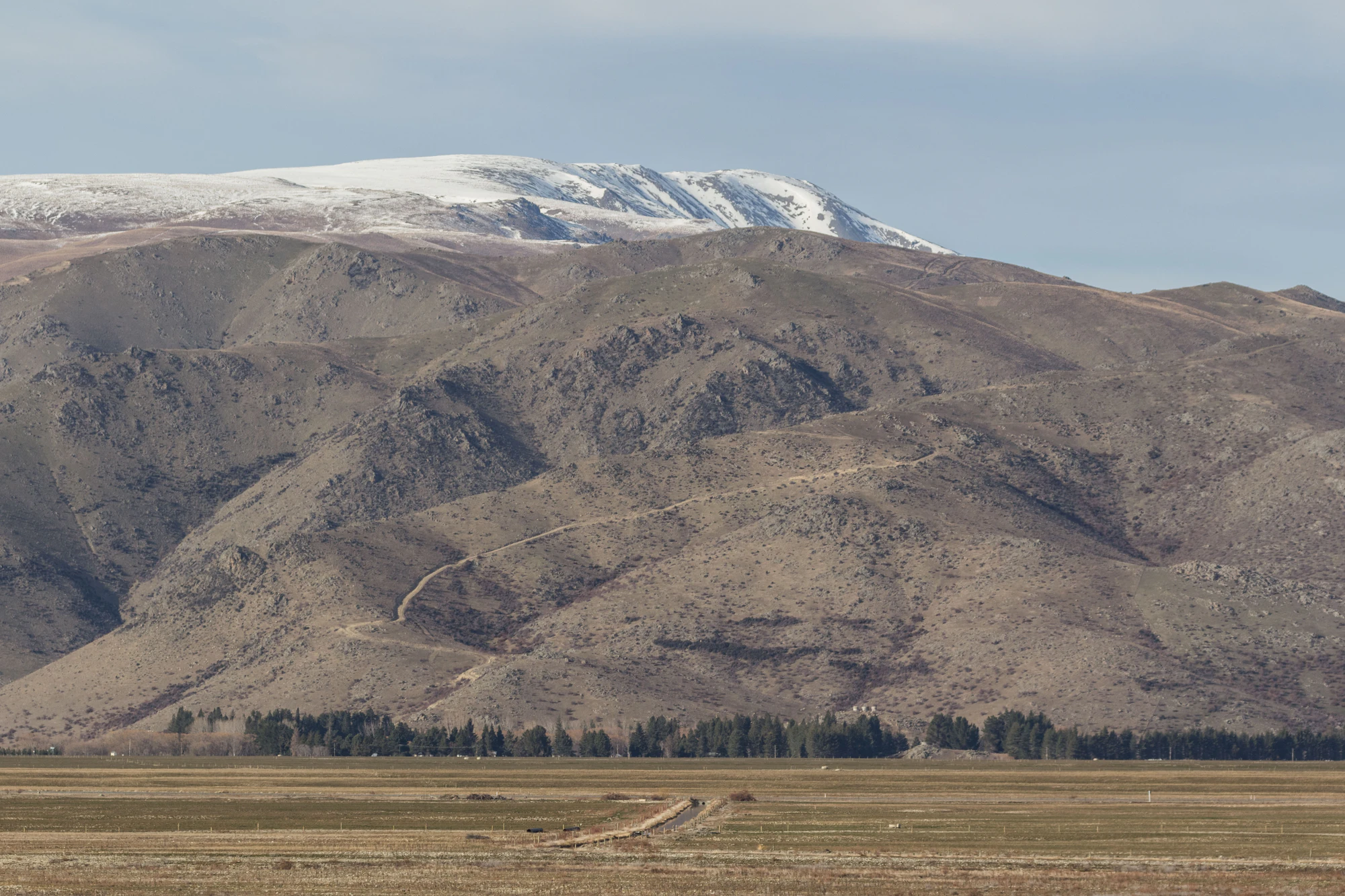 bald brown hills 086 — Download