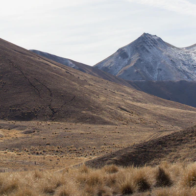 bald brown hills 090 — Descargar