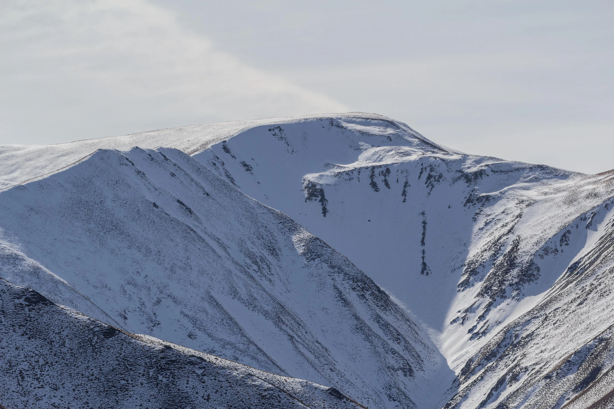 bald brown hills 091 — Скачать