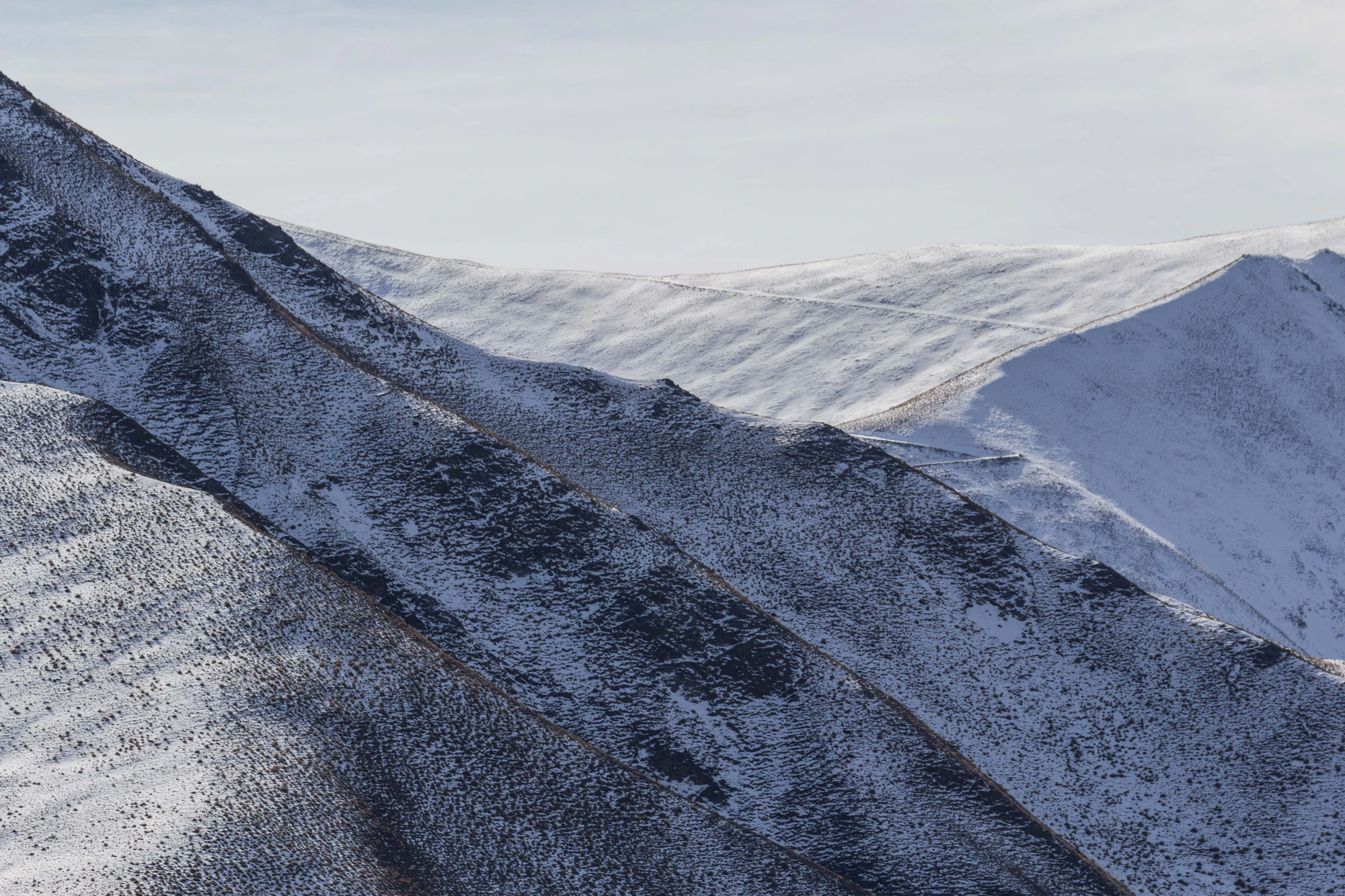 bald brown hills 099 — Descargar