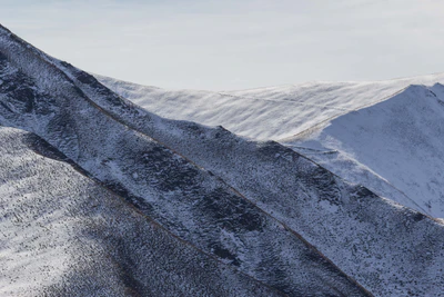 bald brown hills 099 — Descargar
