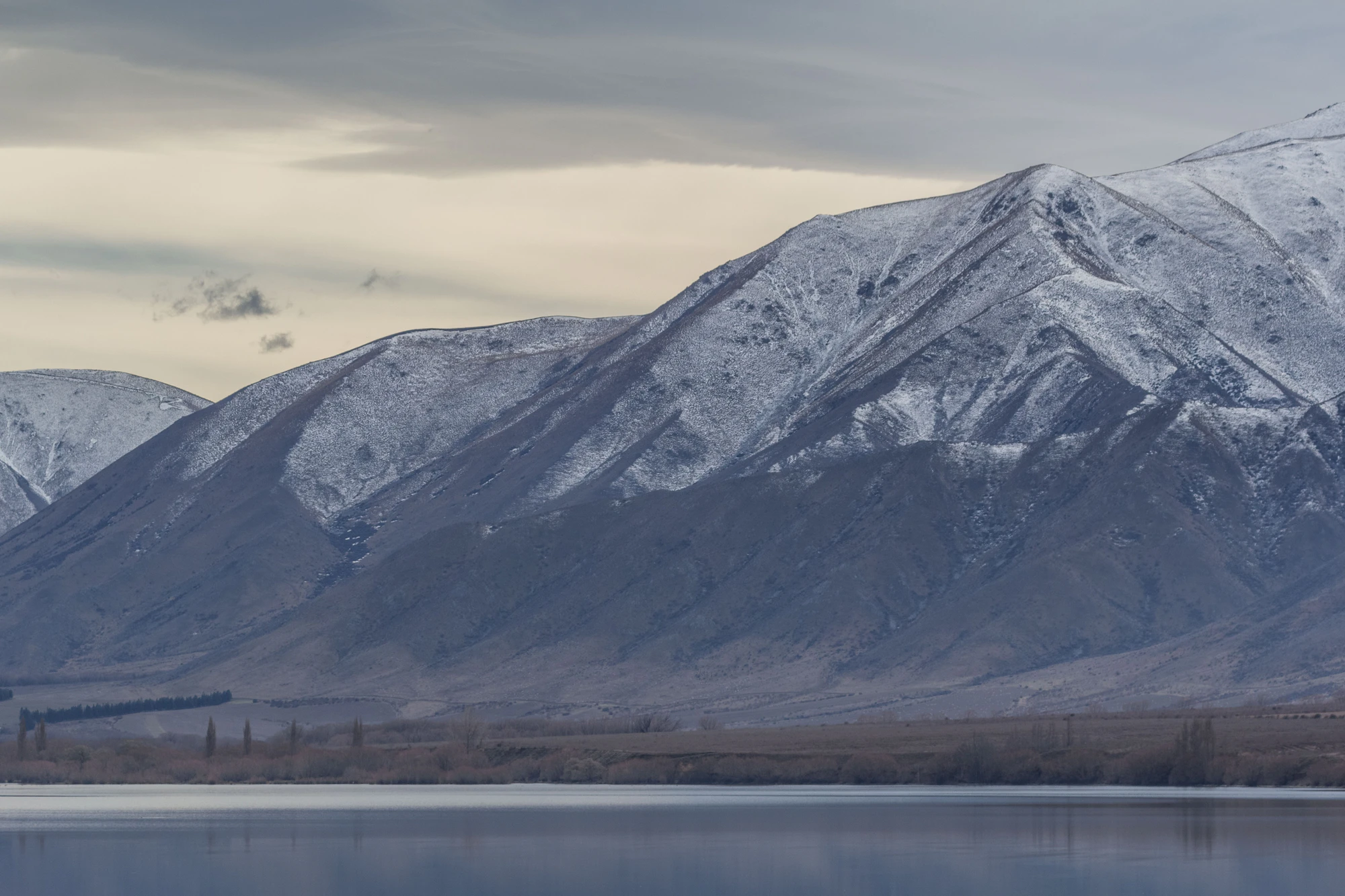 bald brown hills 103 — Скачать