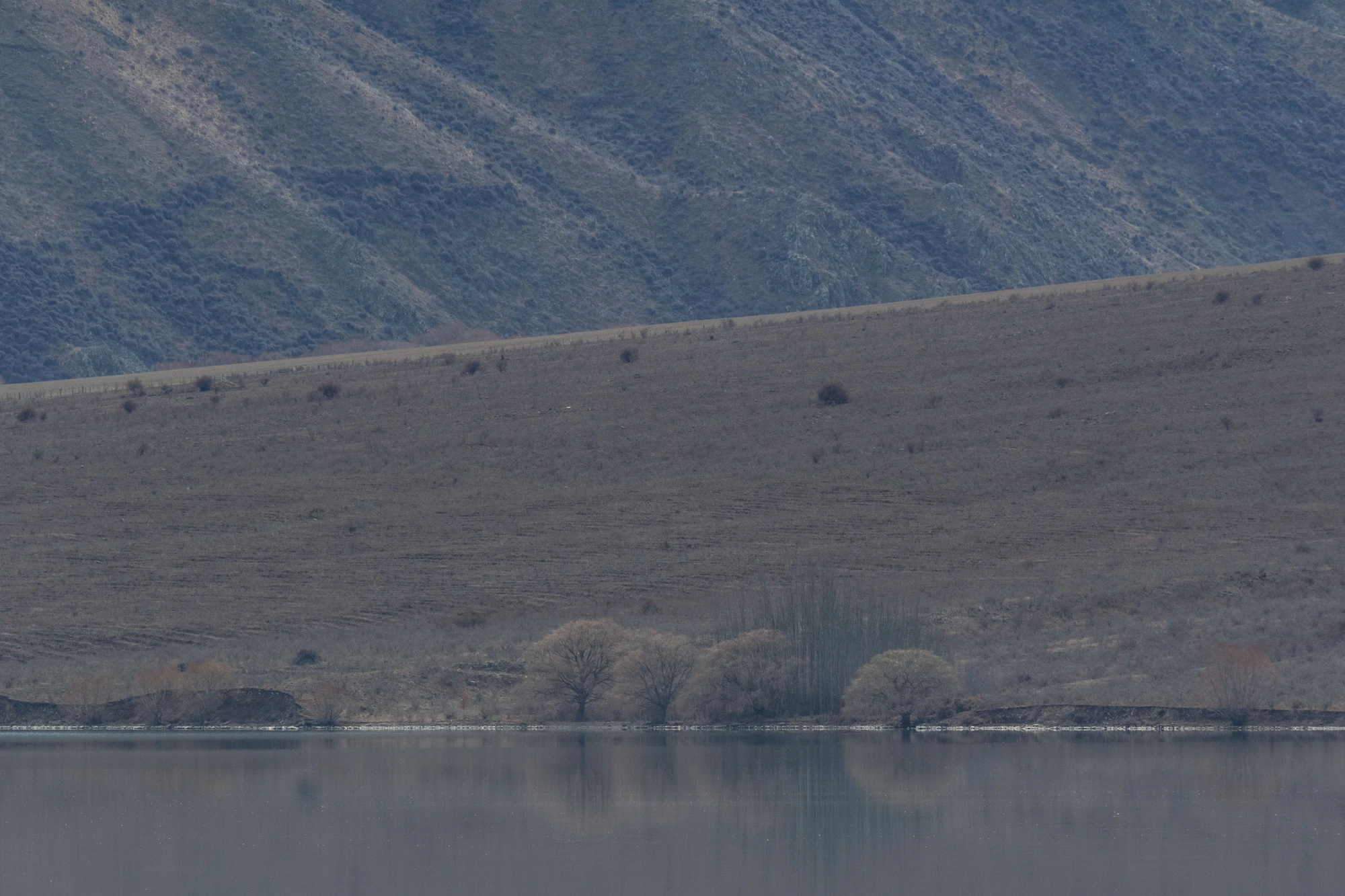 bald brown hills 104 — Скачать