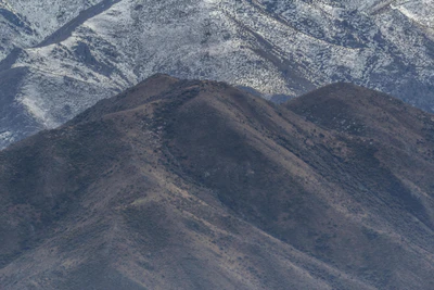 bald brown hills 105 — Скачать