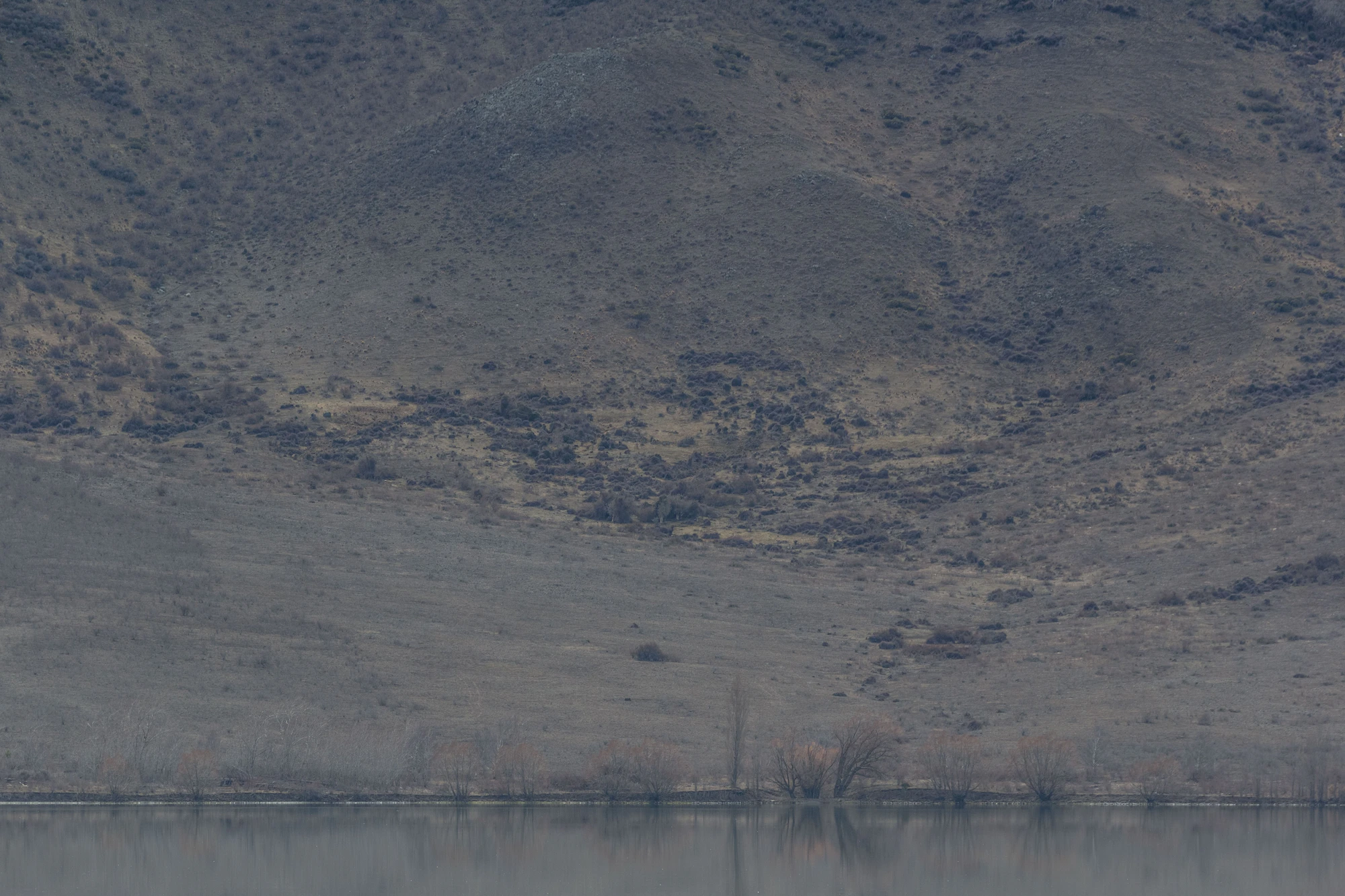 bald brown hills 107 — Скачать