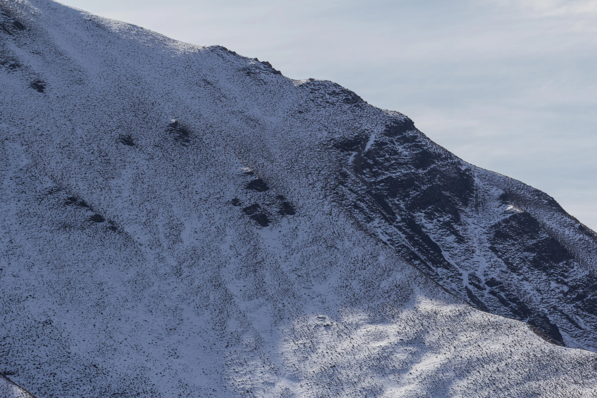 bald brown hills 108 — Скачать