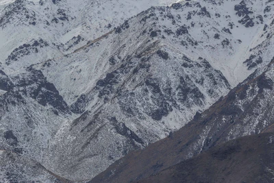 bald brown hills 109 — Скачать