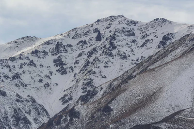 bald brown hills 110 — Скачать
