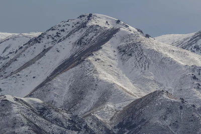 bald brown hills 115 — Скачать