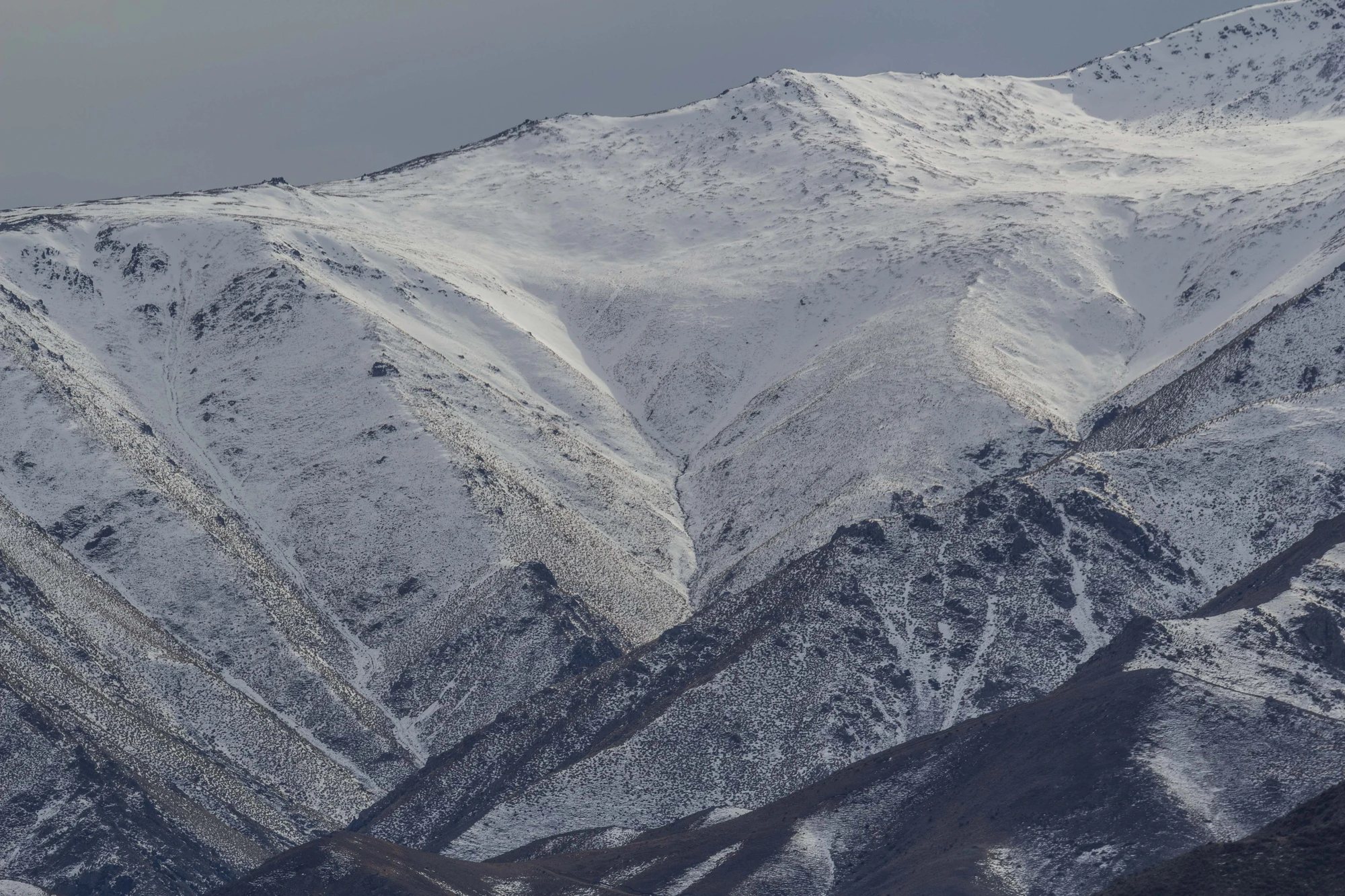 bald brown hills 117 — Скачать