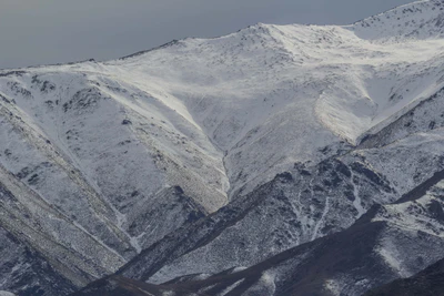 bald brown hills 117 — Скачать