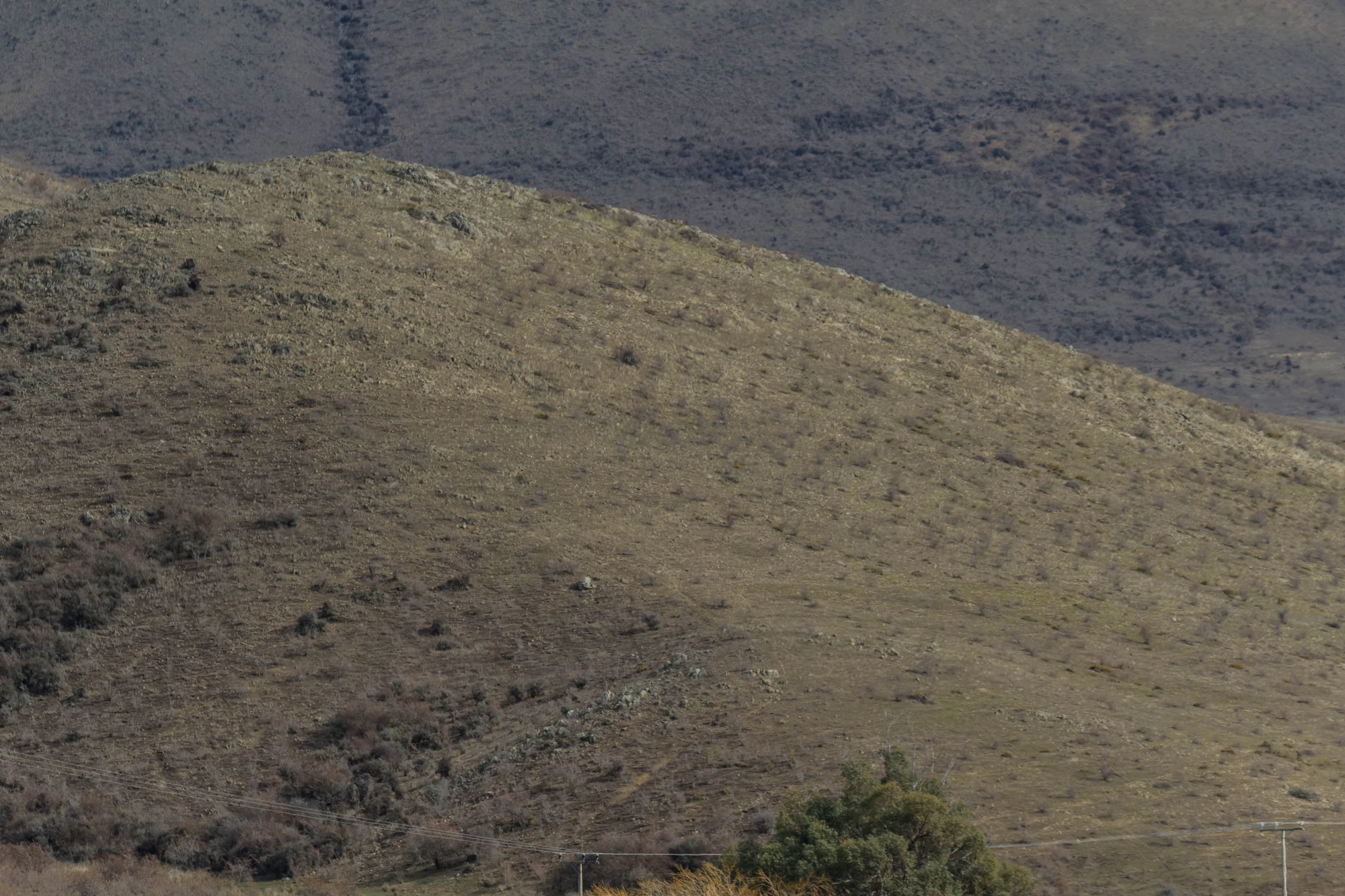 bald brown hills 123 — Скачать