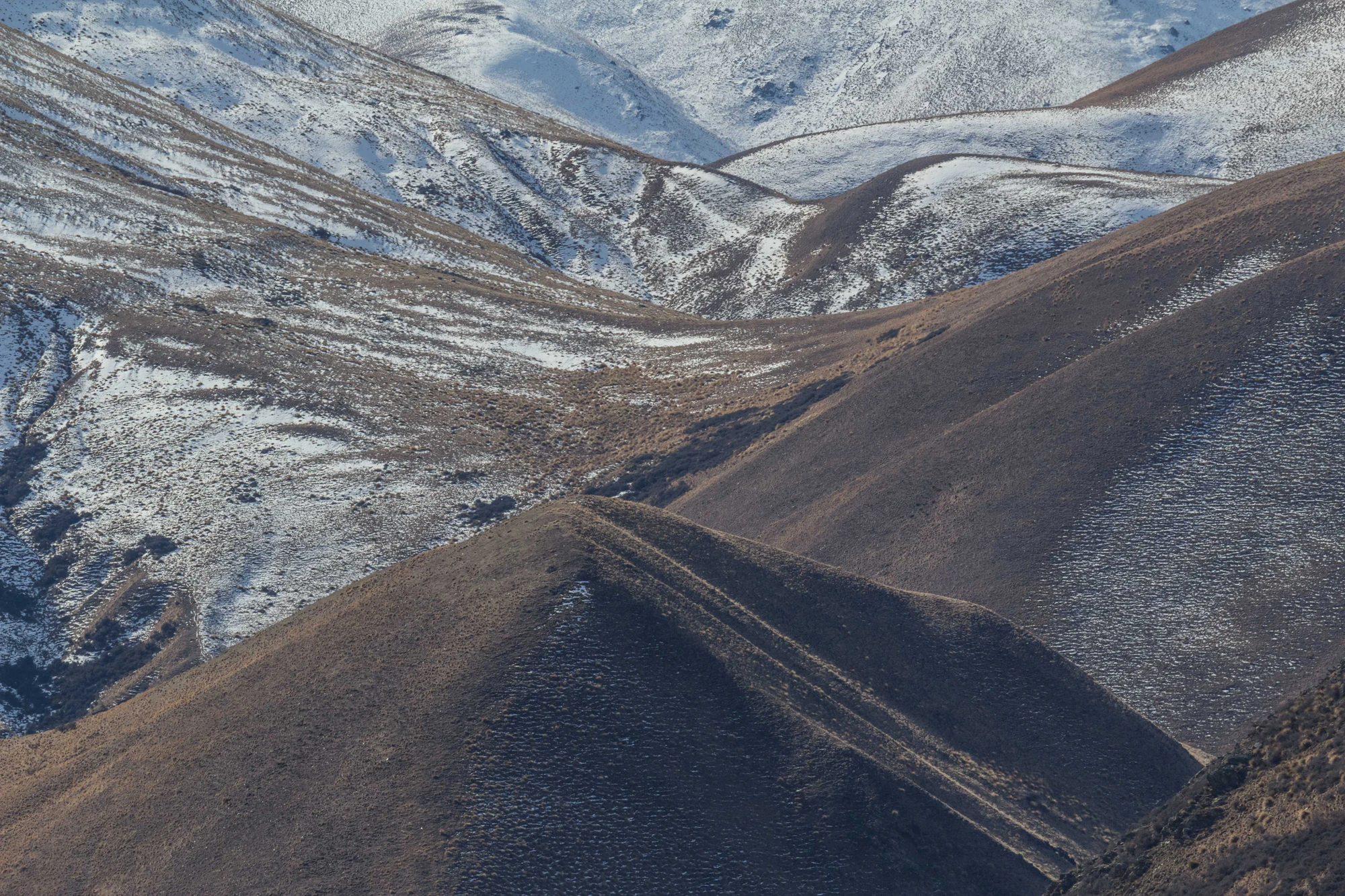 bald brown hills 127 — Descargar
