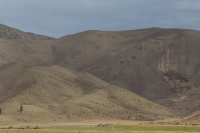 bald brown hills 128 — Descargar