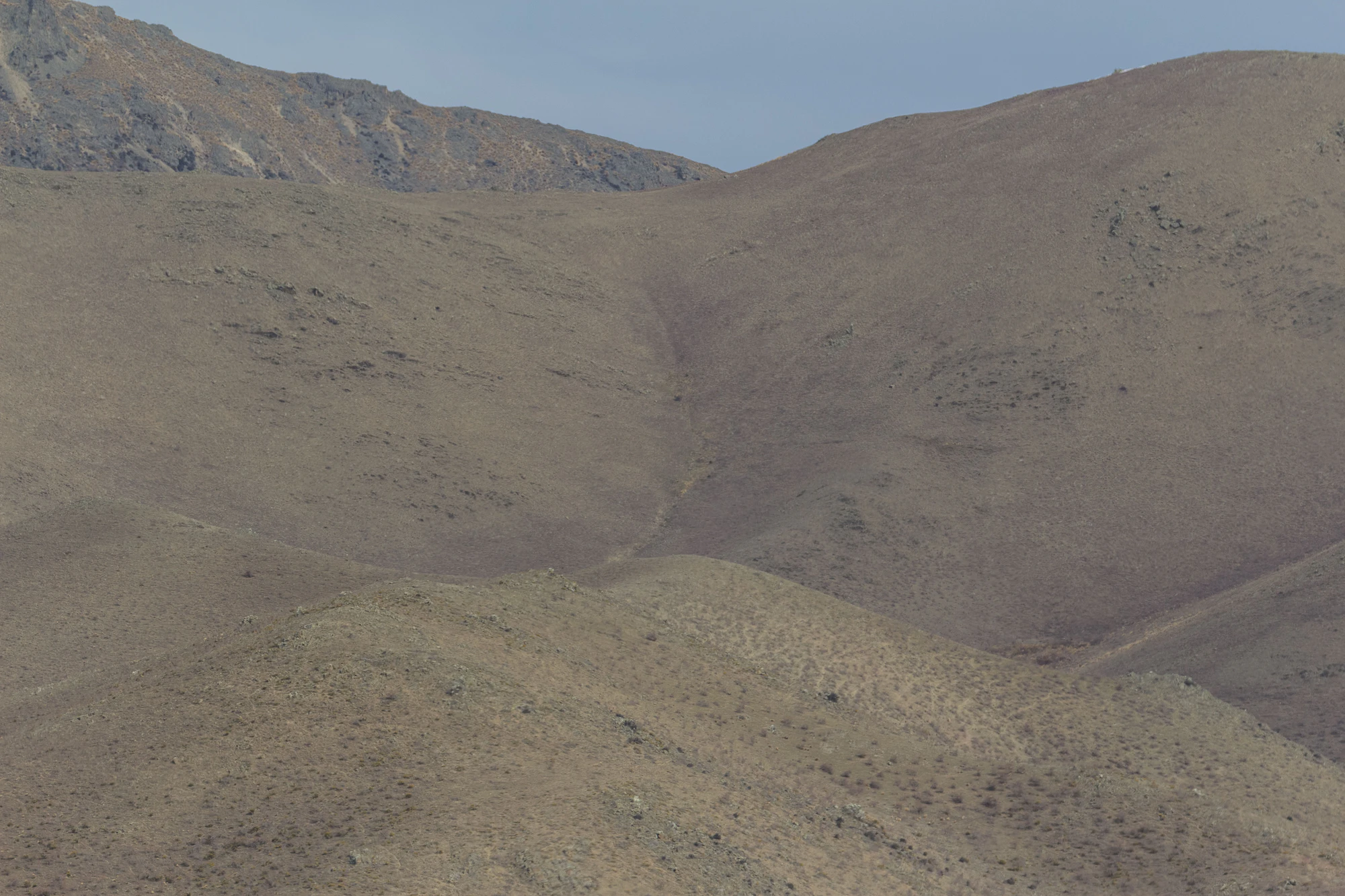bald brown hills 129 — Descargar