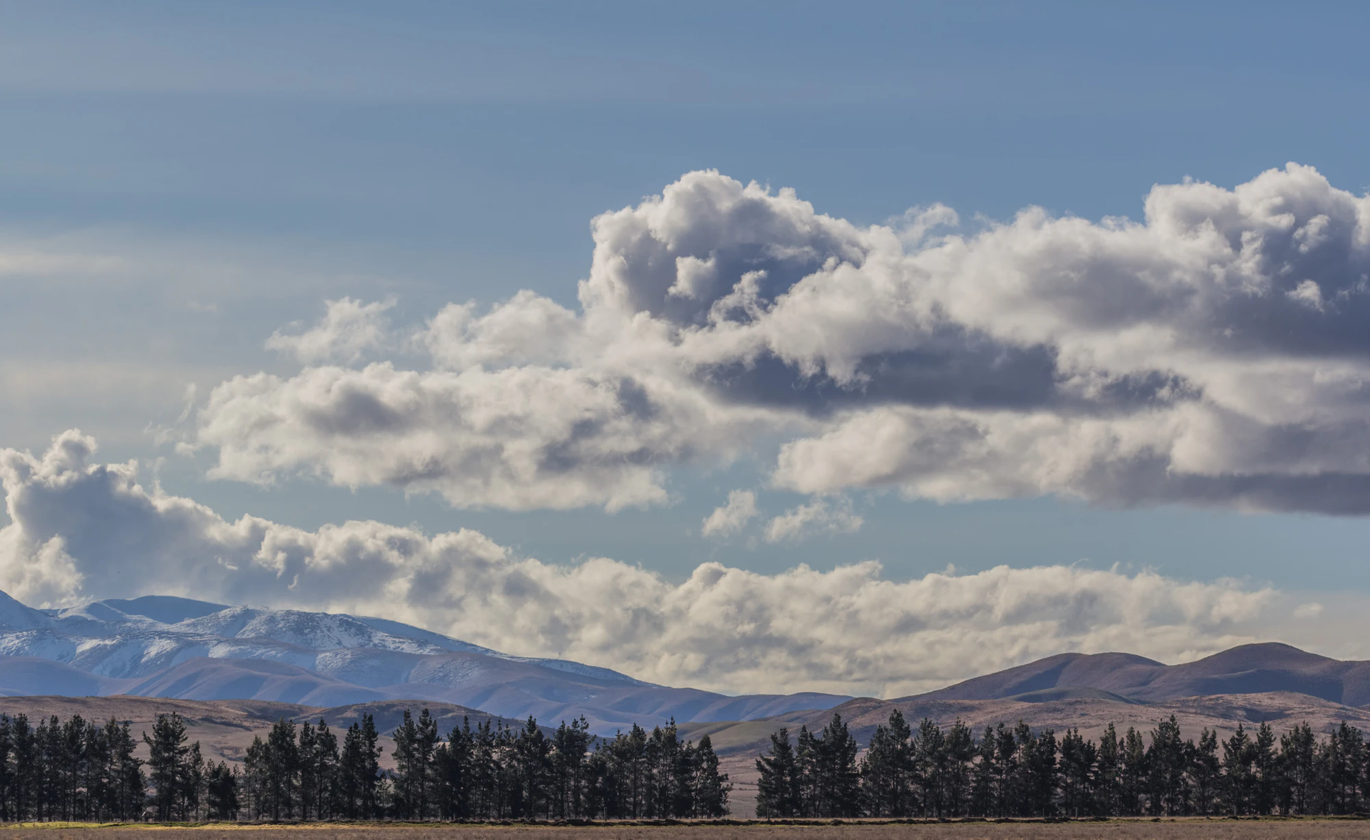 bald brown hills 134 — Скачать