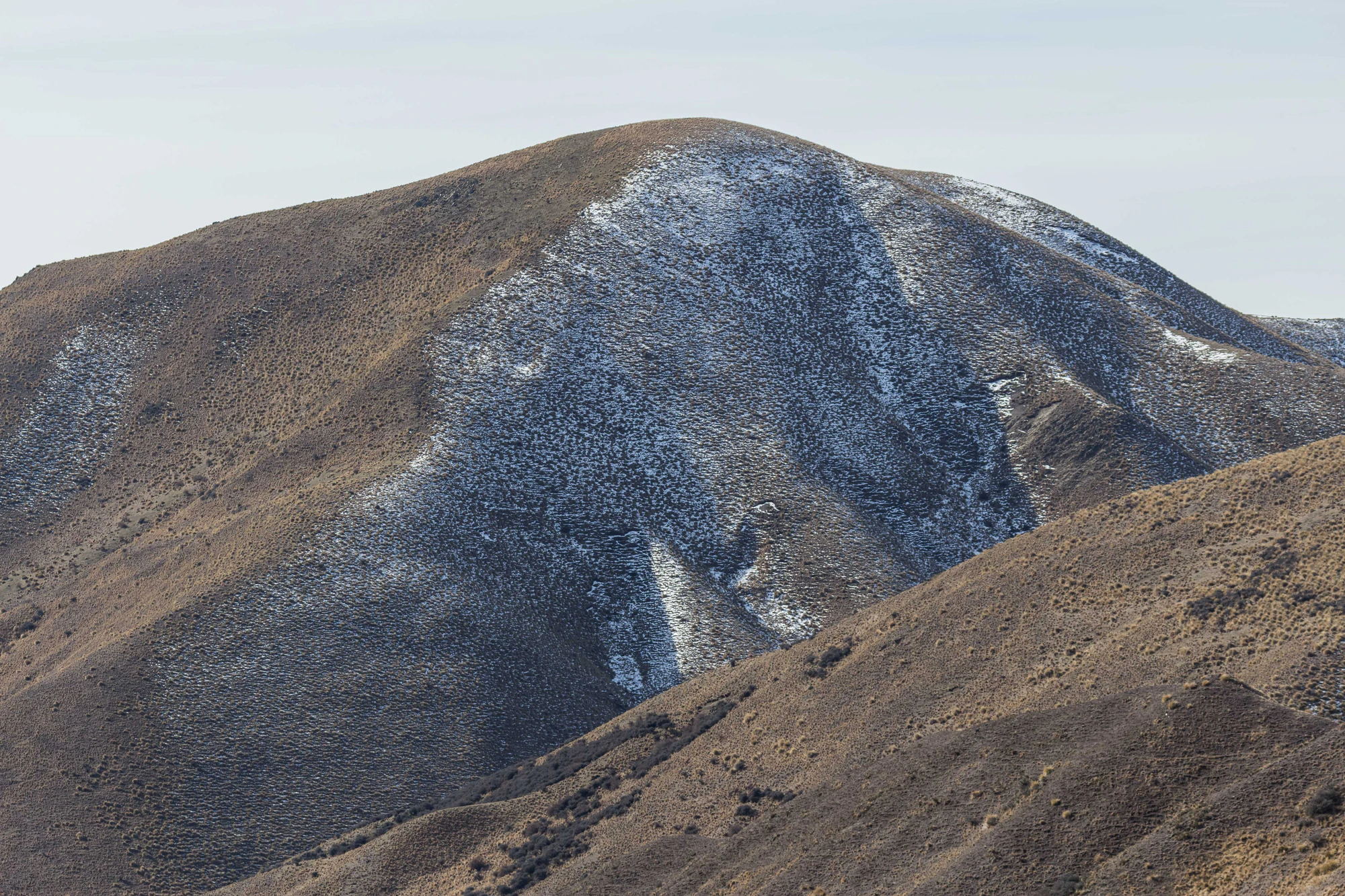 bald brown hills 136 — Скачать