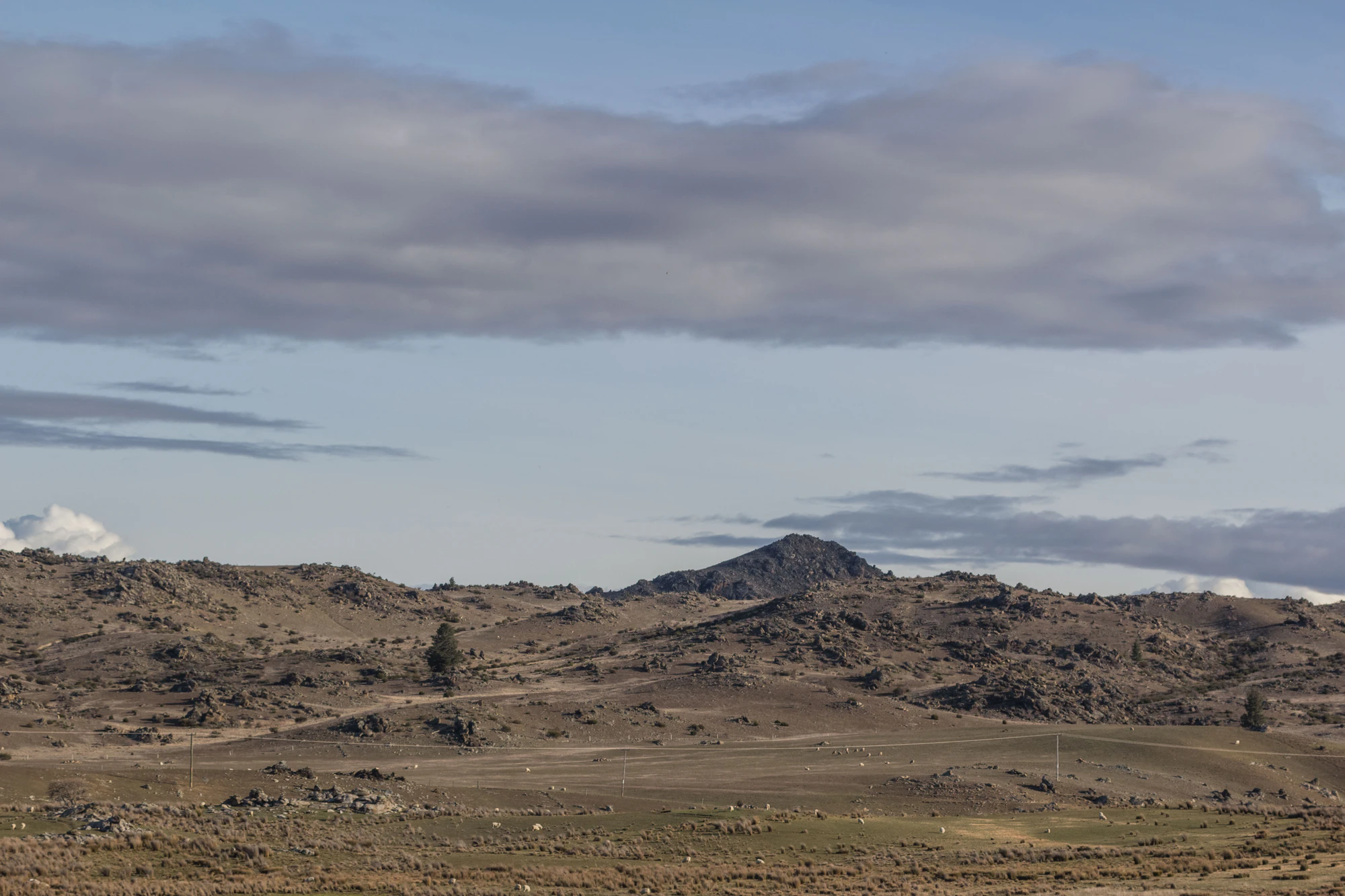 bald brown hills 142 — Скачать