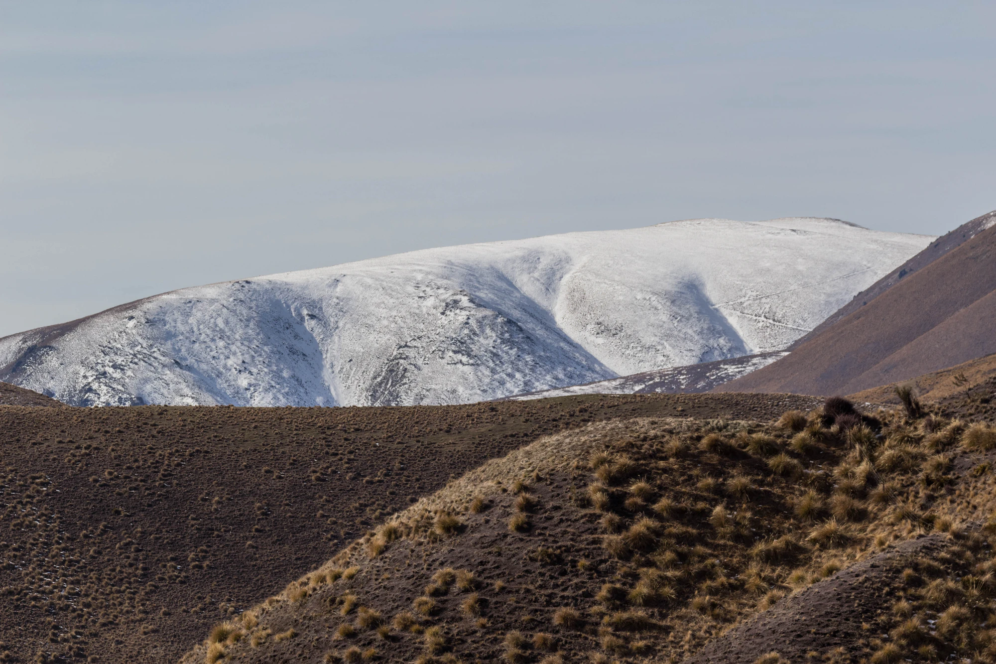 bald brown hills 145 — Скачать