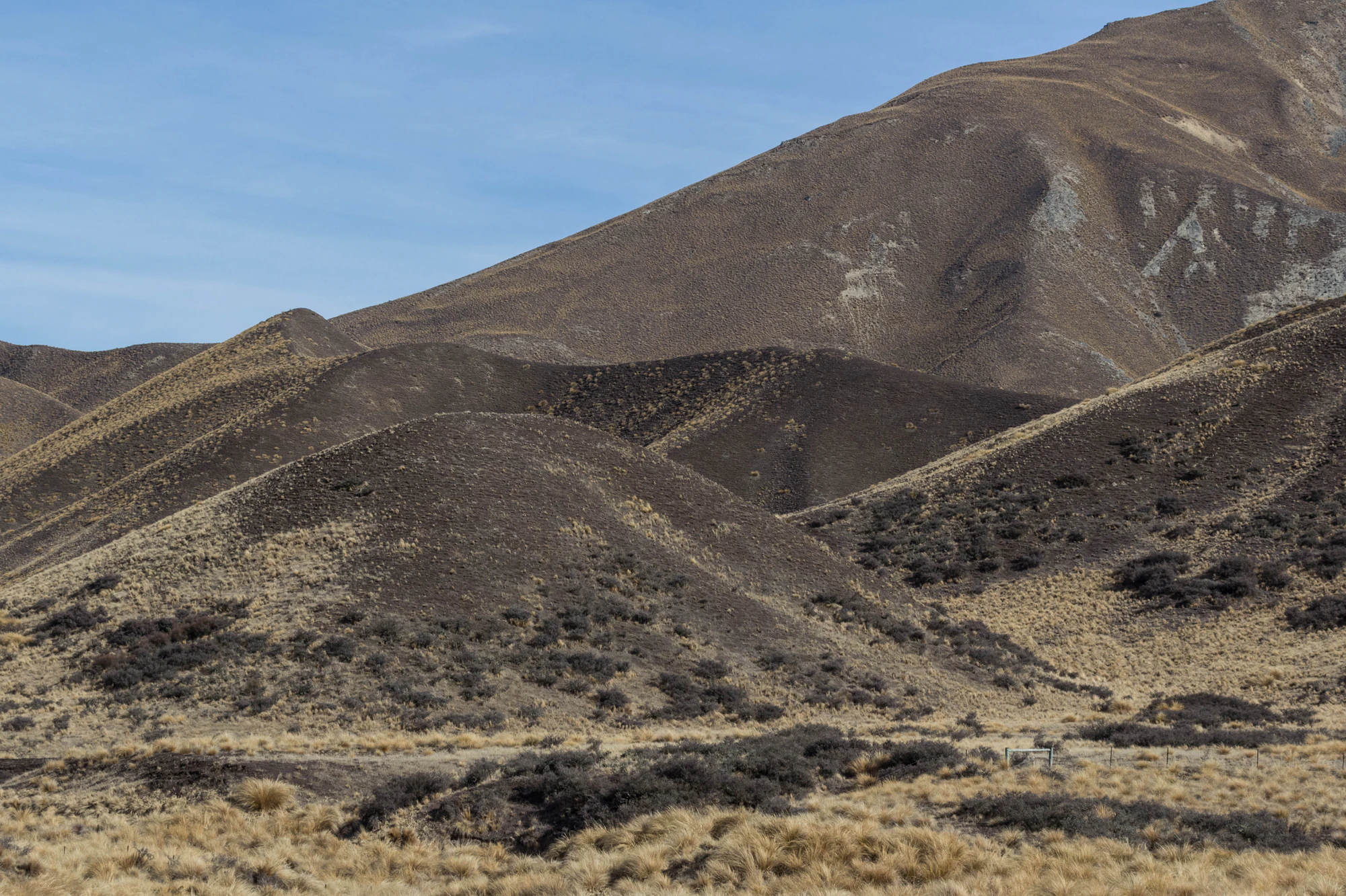 bald brown hills 150 — Descargar