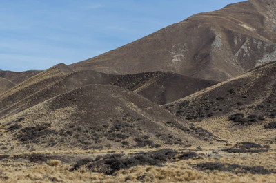 bald brown hills 150 — Descargar