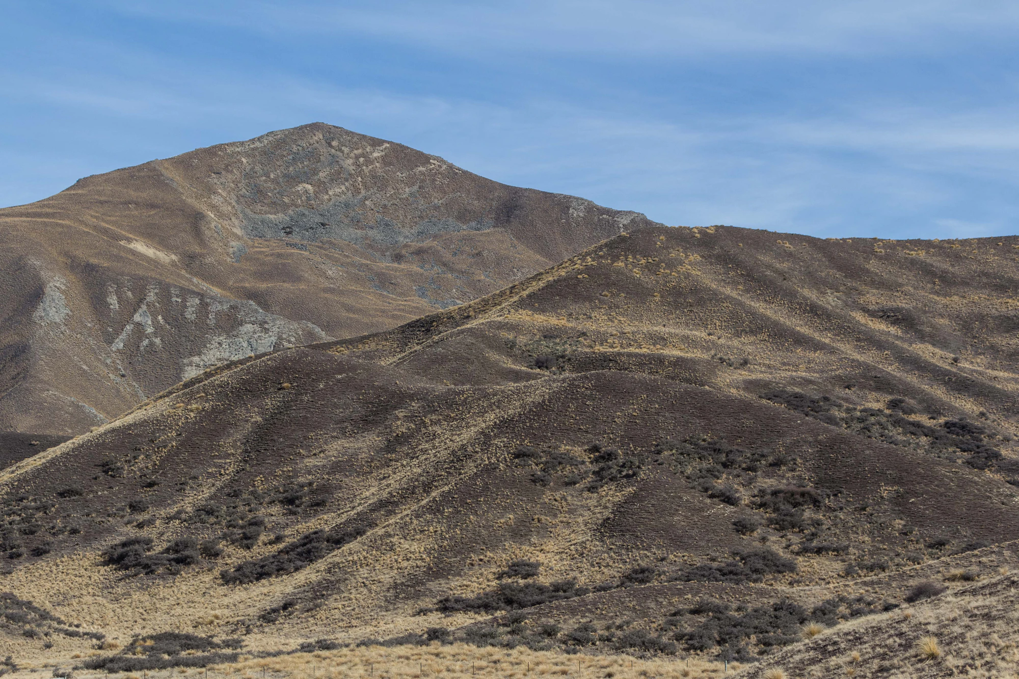 bald brown hills 151 — Descargar