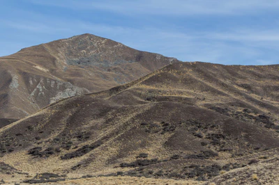 bald brown hills 151 — Descargar