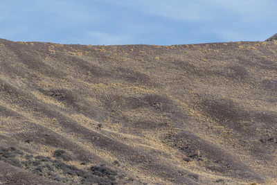 bald brown hills 154 — Descargar