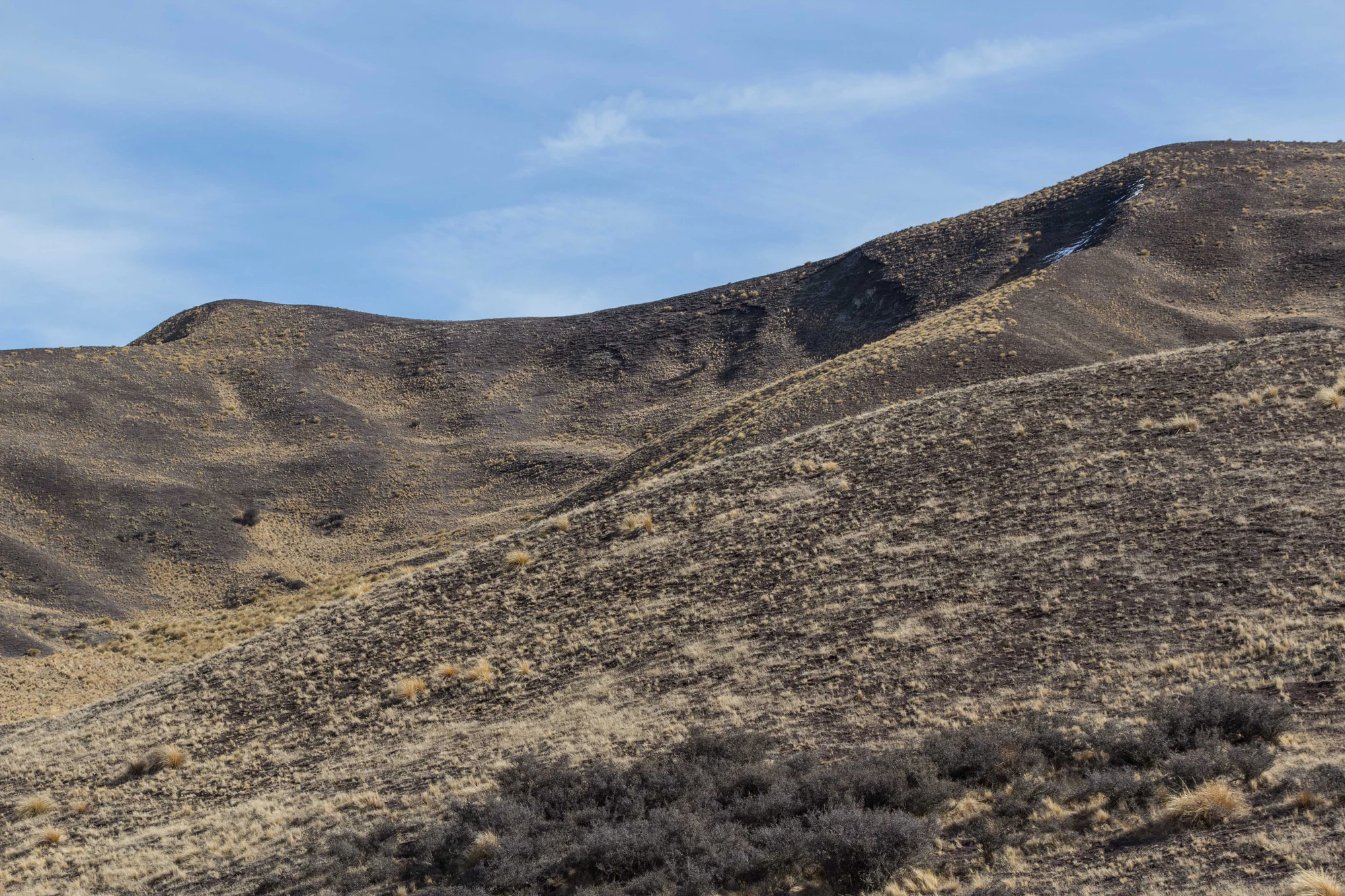 bald brown hills 155 — Descargar