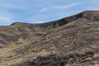 bald brown hills 155 — Descargar