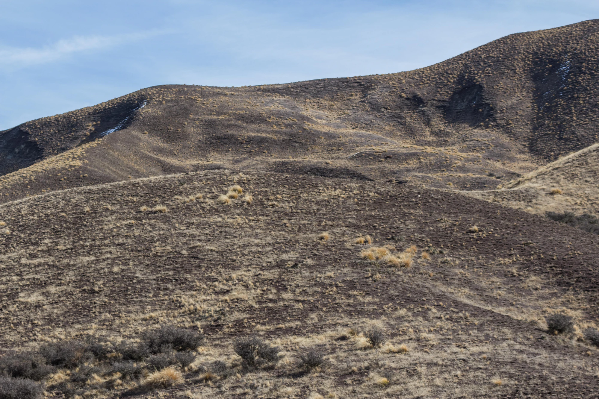bald brown hills 156 — Descargar