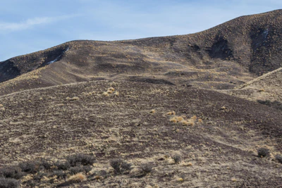bald brown hills 156 — Descargar