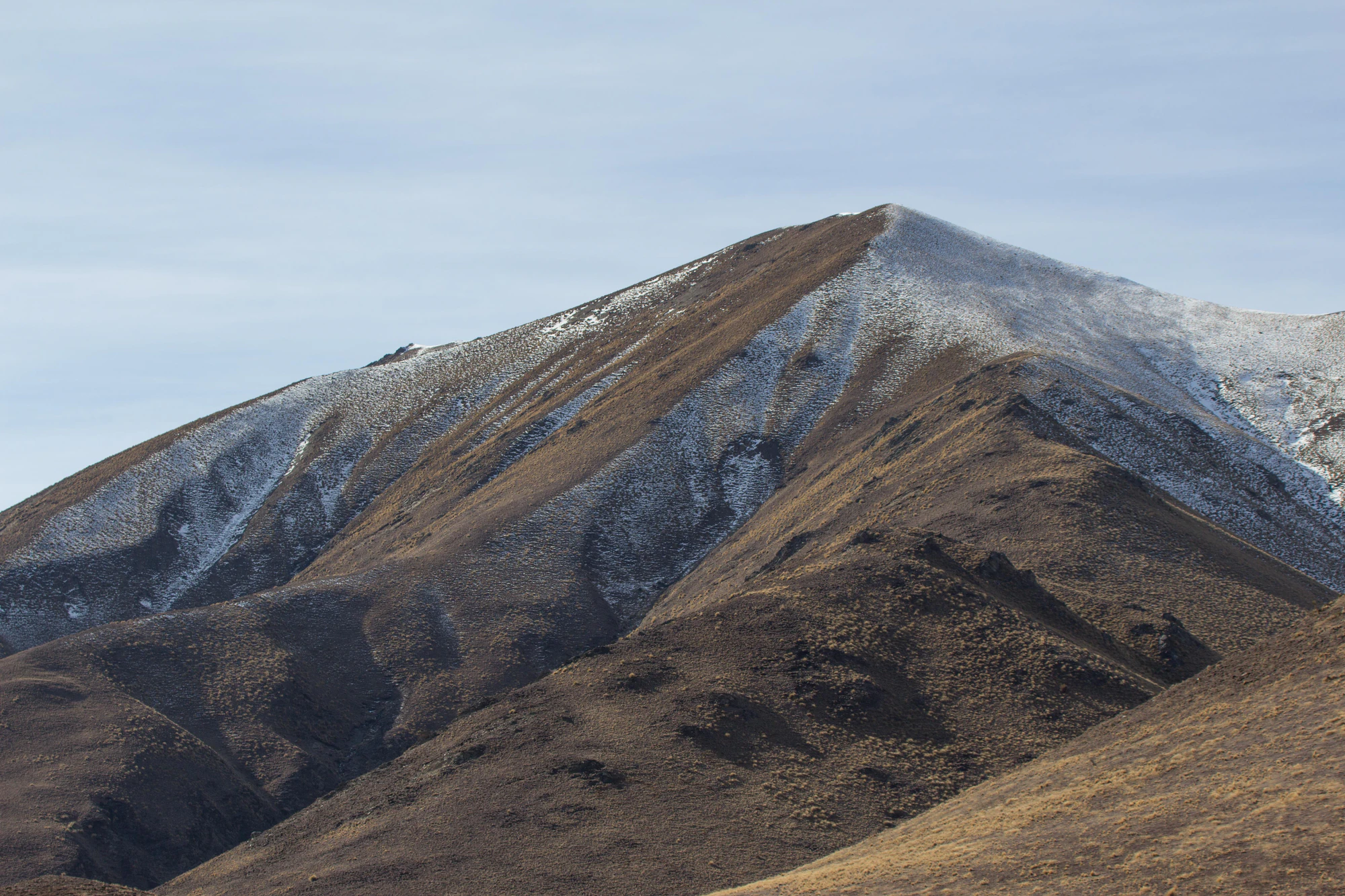bald brown hills 157 — Скачать