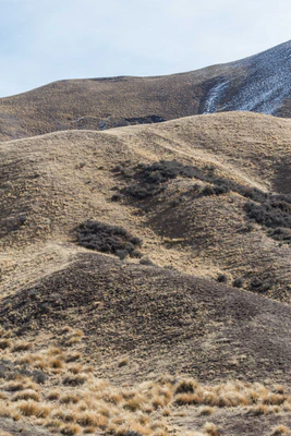 bald brown hills 158 — Descargar