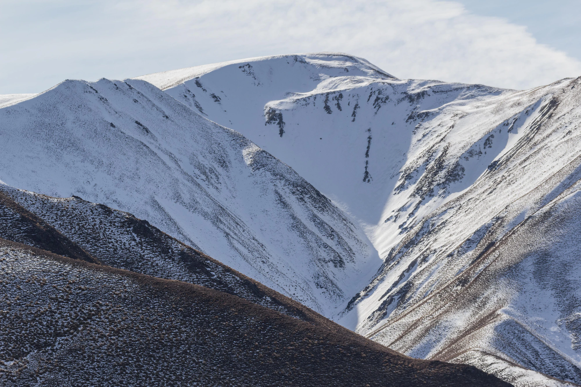 bald brown hills 161 — Скачать