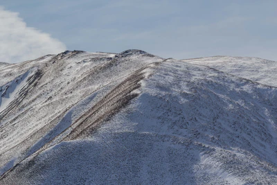 bald brown hills 162 — Descargar