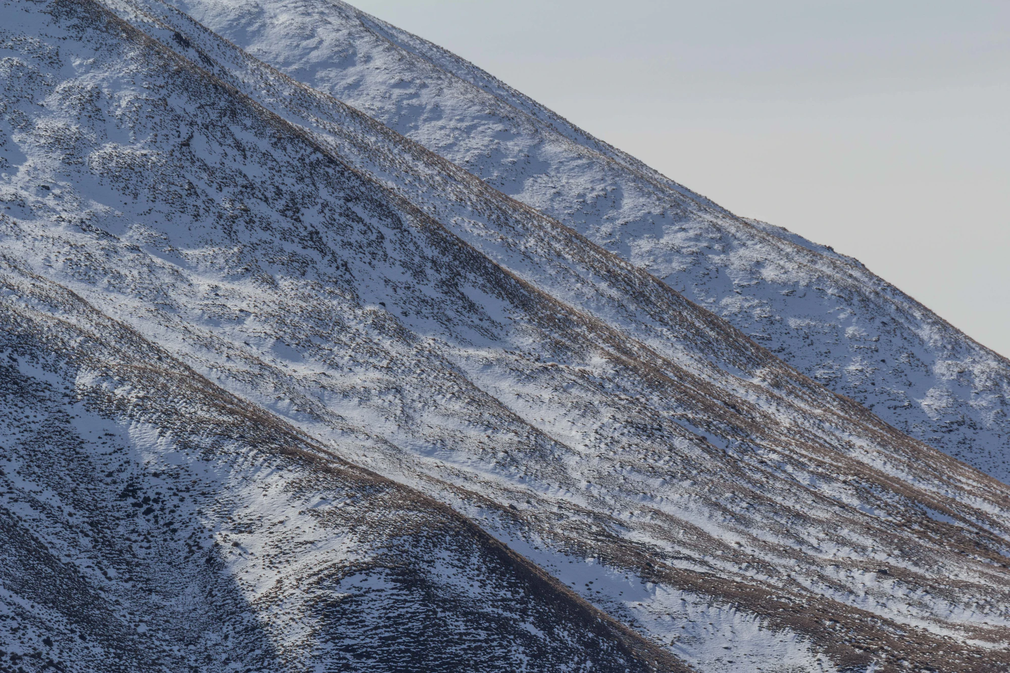 bald brown hills 163 — Descargar