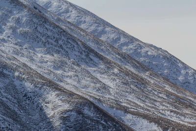 bald brown hills 163 — Descargar