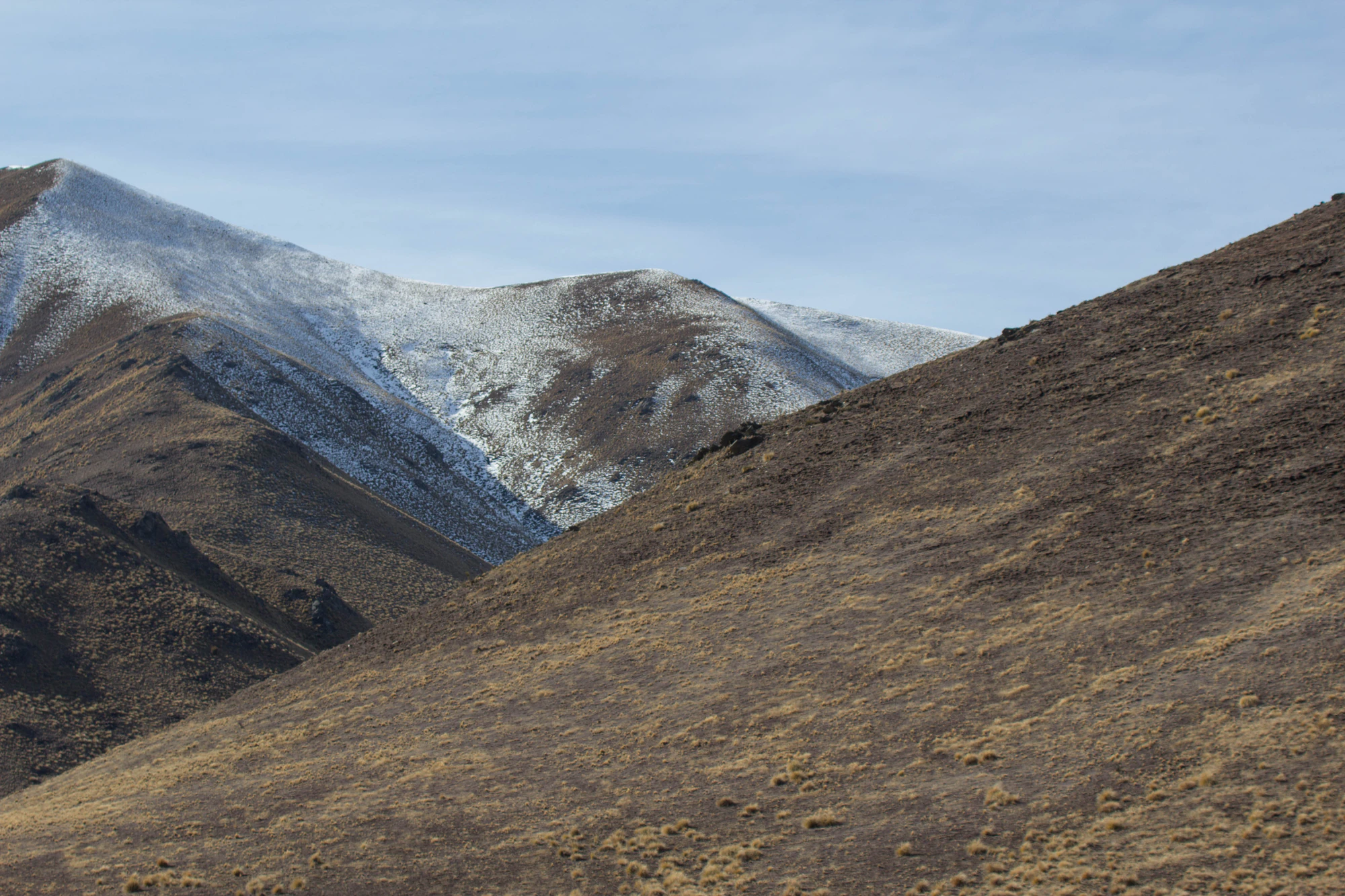 bald brown hills 166 — Скачать